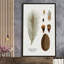 Pin botanique - Peinture-595111423-595111411