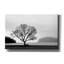 «Arbre à pique-nique» par PhotoINC Studio-1591819228