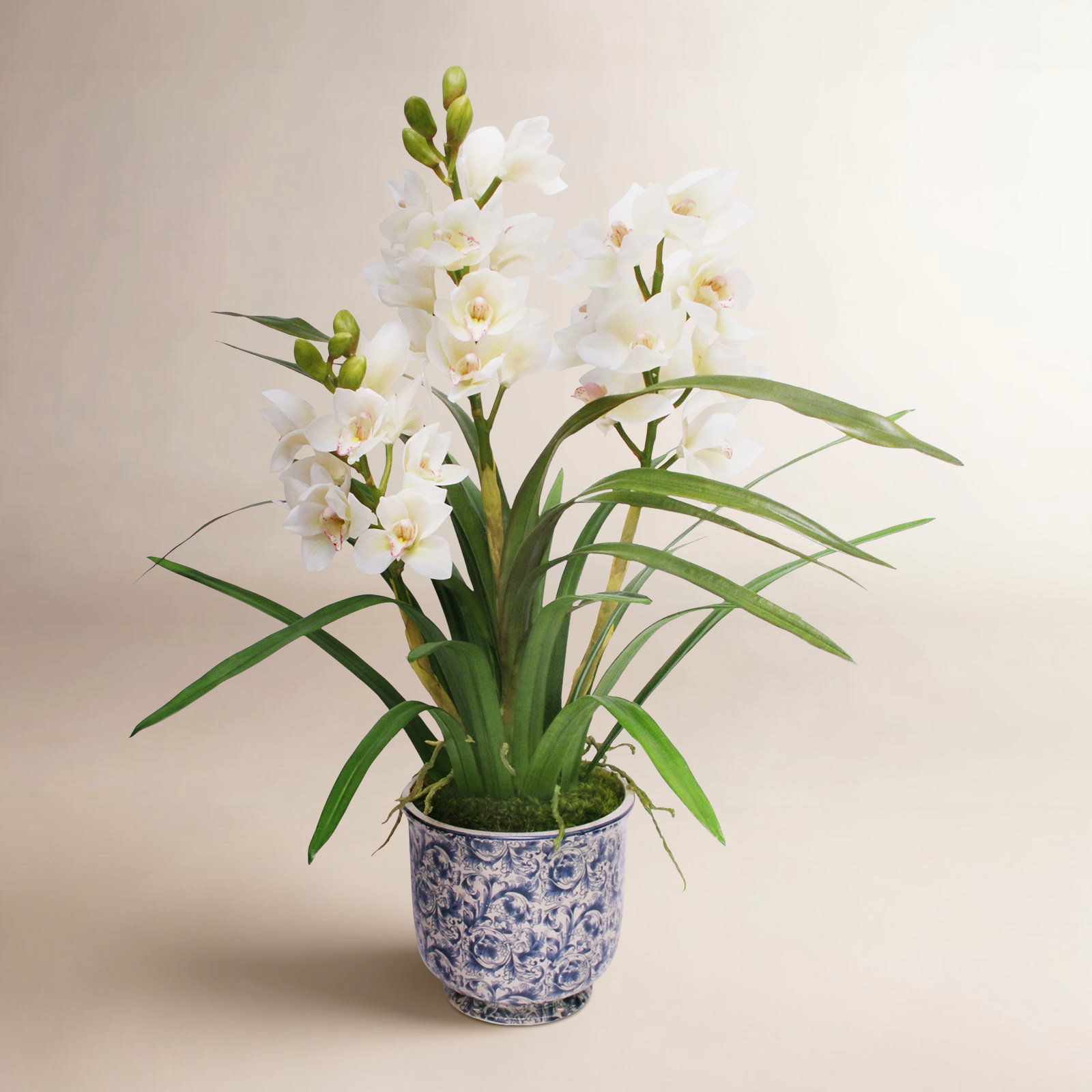 Orchid Floral Arrangement