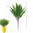 Fern Arrangement