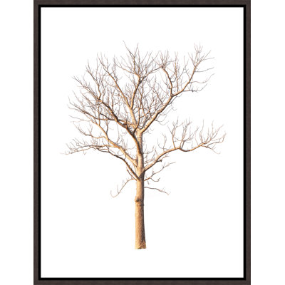 «Thoughtful Times IV» par Elle Youngstrom - cadre flottant, impression sur toile