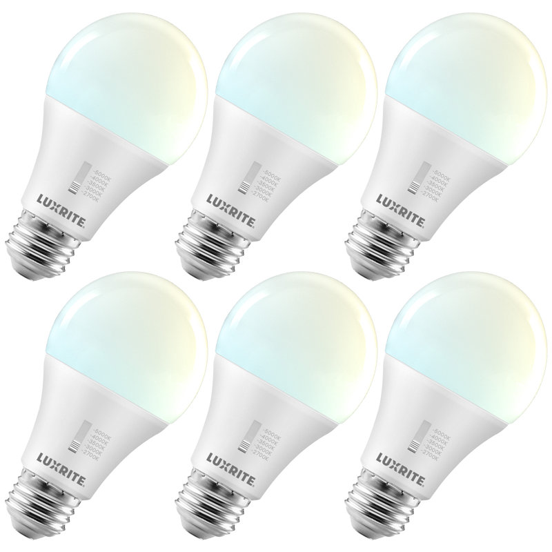 15 Watt E26/Medium (Standard) Dimmable Bulb