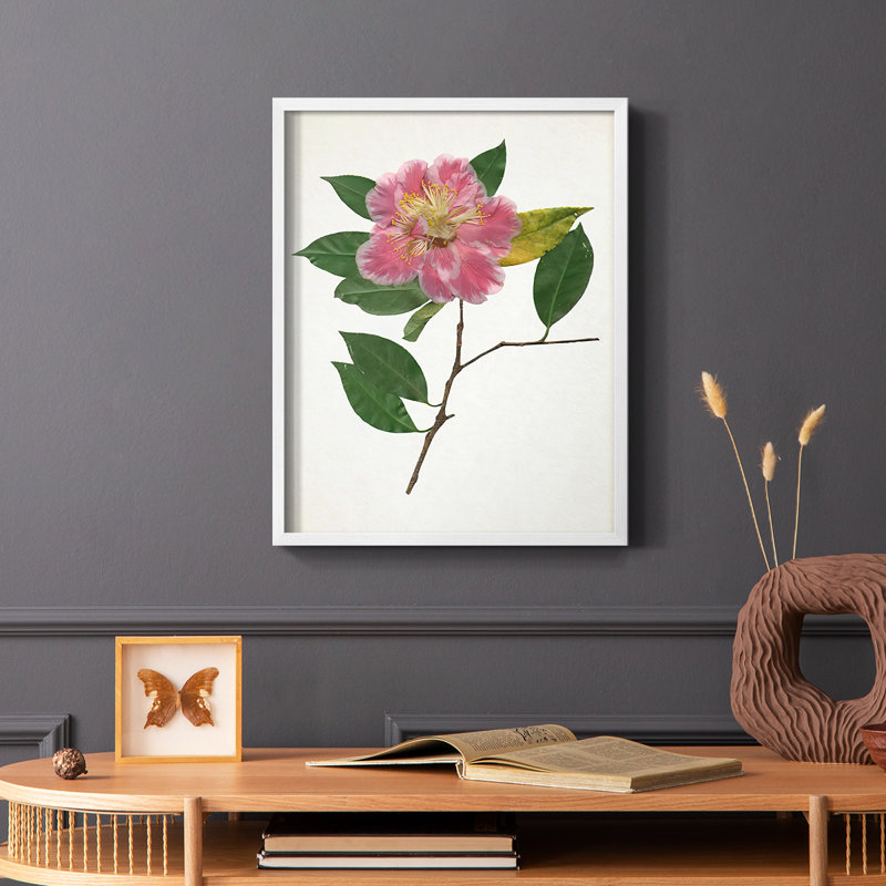 Reproduction encadrée pressée Camellia II - bois massif, Blanc, H 20 po x l 16 po