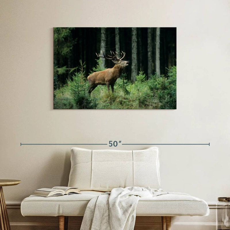 Crowle Elk Bugle, 26" H x 39" W