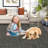 Braided Printed Texture Machine Washable Rug with Rubber Backing for Living Room Non-Slip Dining Room Rug Easy-Cleaning Floor Carpet for Bedroom-286894363
