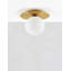 Benjamil Glass Flush Mount