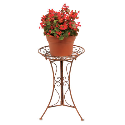 Metal Plant Stand