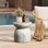 Table d'appoint extérieure ronde grise 15,8 po H, table de patio aspect ciment rustique
