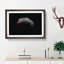 Moon - Picture Frame Graphic Art Print-55732184-55732190