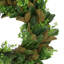 24" Wreath with Magnolia Leaves and Boxwood