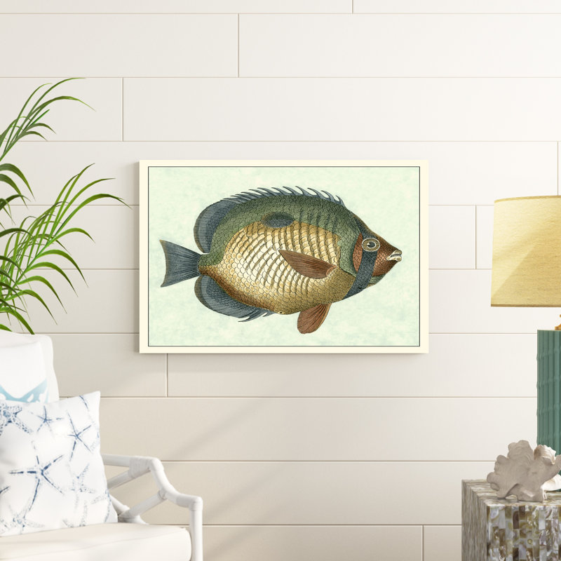 " Butterfly Fish I ", 24" H x 36" W x 1.25" D