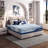 Kolton 12" Medium Memory Foam Mattress in a Box, Motion Isolation & CertiPUR-US-67149316-132514768