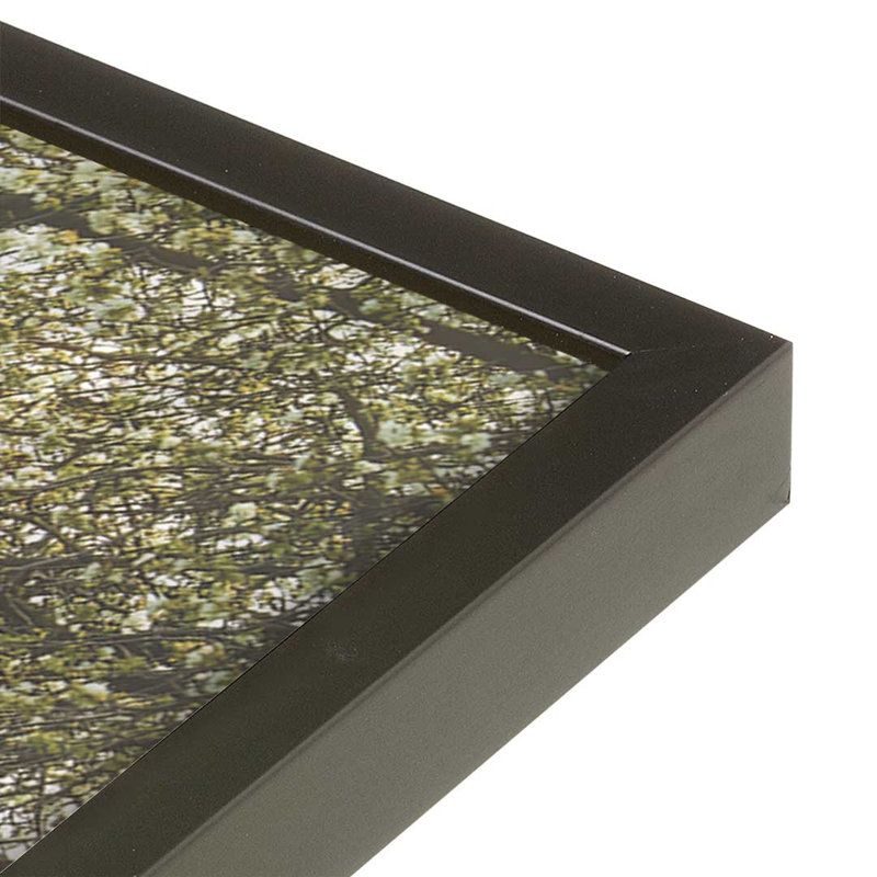 «Spring in Bloom» par Martin Podt, reproduction d'art, L 32 po x H 48 po, Noir, Impression encadrée