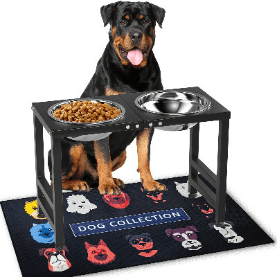 Elevated Dog Bowls for Extra Large Dogs with Mat,Raised Dog Bowl Stand for Large Breed Adjustable Height Dog Feeder with Two 3000 ml Stainless Steel Dog Food Bowls