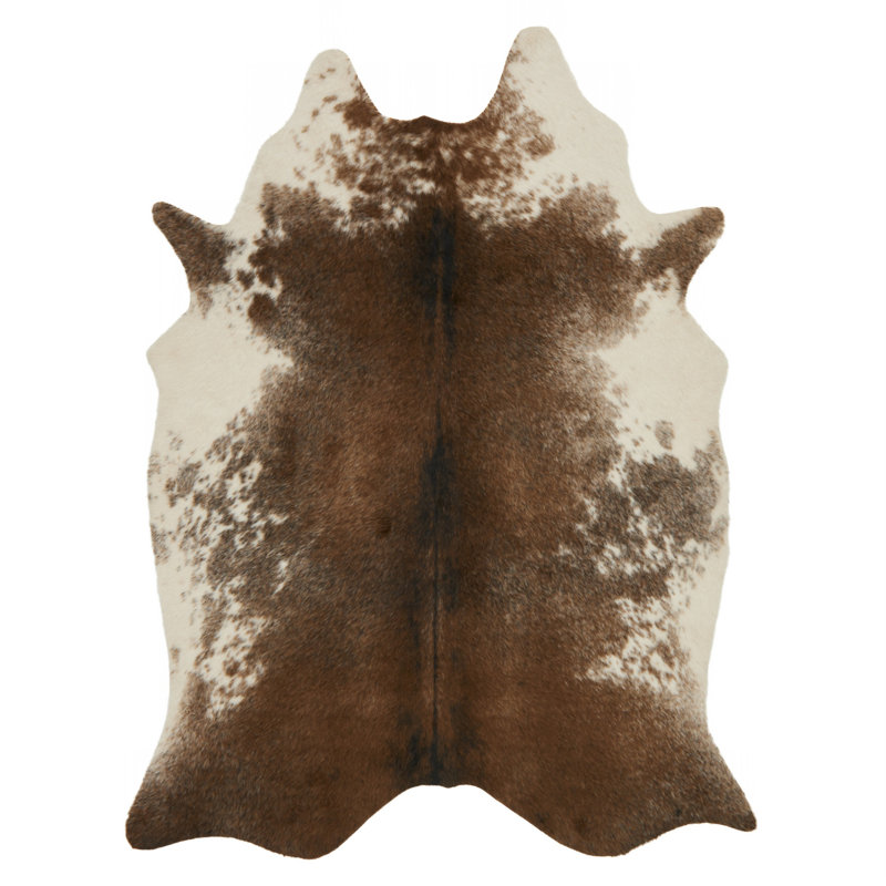 Tapis café / ivoire Isal, Rectangle 5 pi x 6 pi 6 po