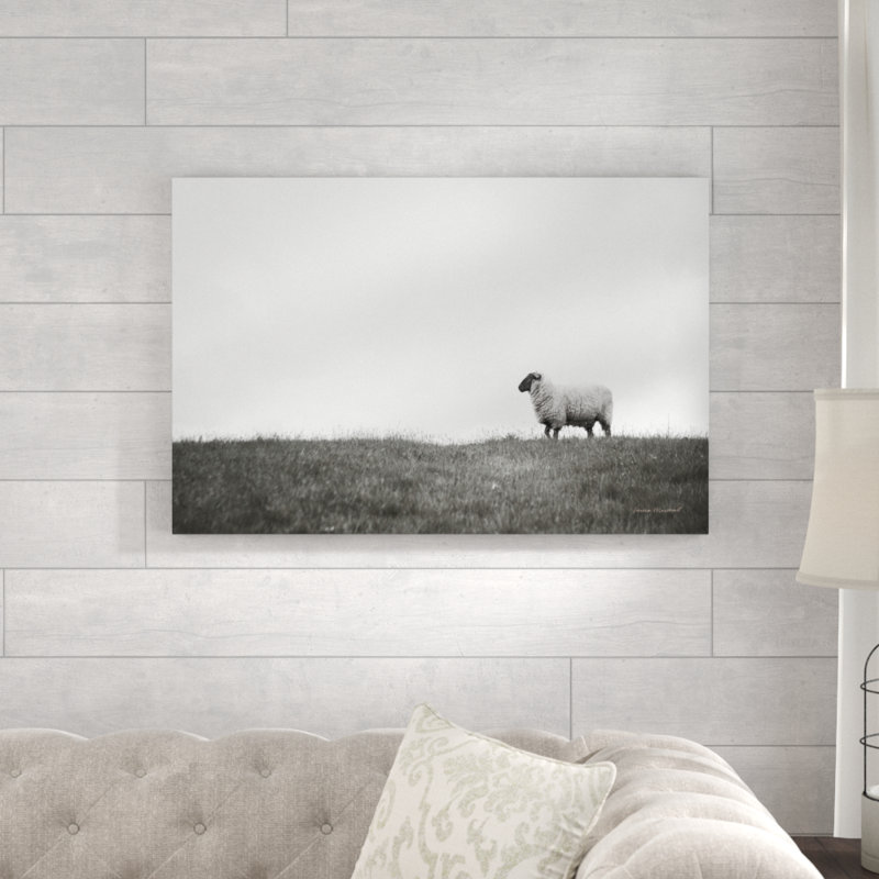 Islay Sheep II by Laura Marshall - Wrapped Canvas Print, 61cm H x 91cm W