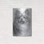 «Tickled» par Barbara Keith-1152028319
