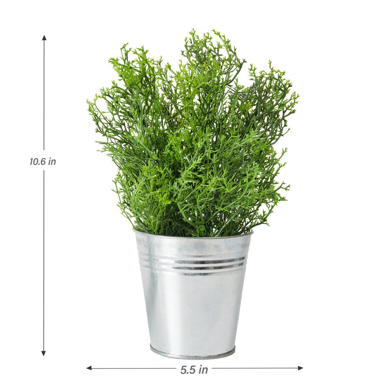 10,2 "10,5" Faux herbes topiaire en pot en métal (2 pièces) pour la décoration des tablettes
