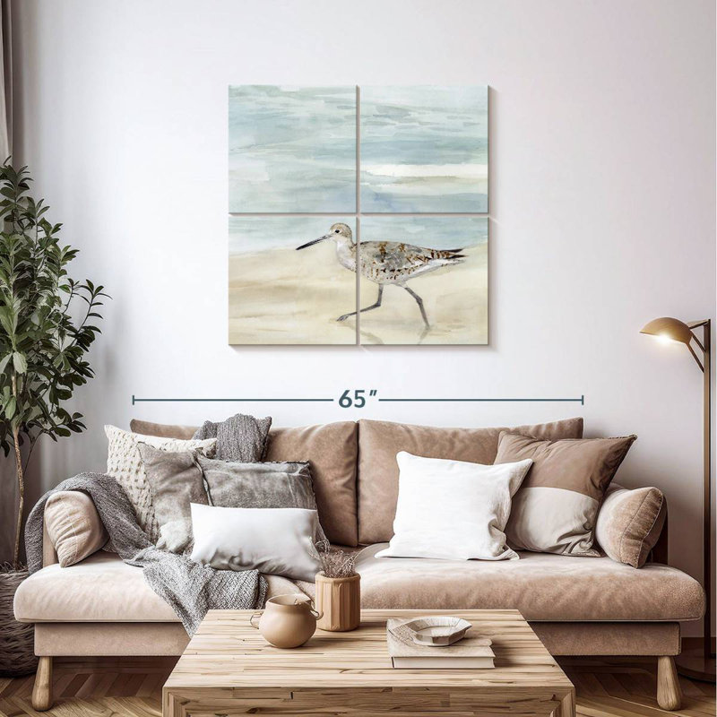 Willet moucheté Brampt II