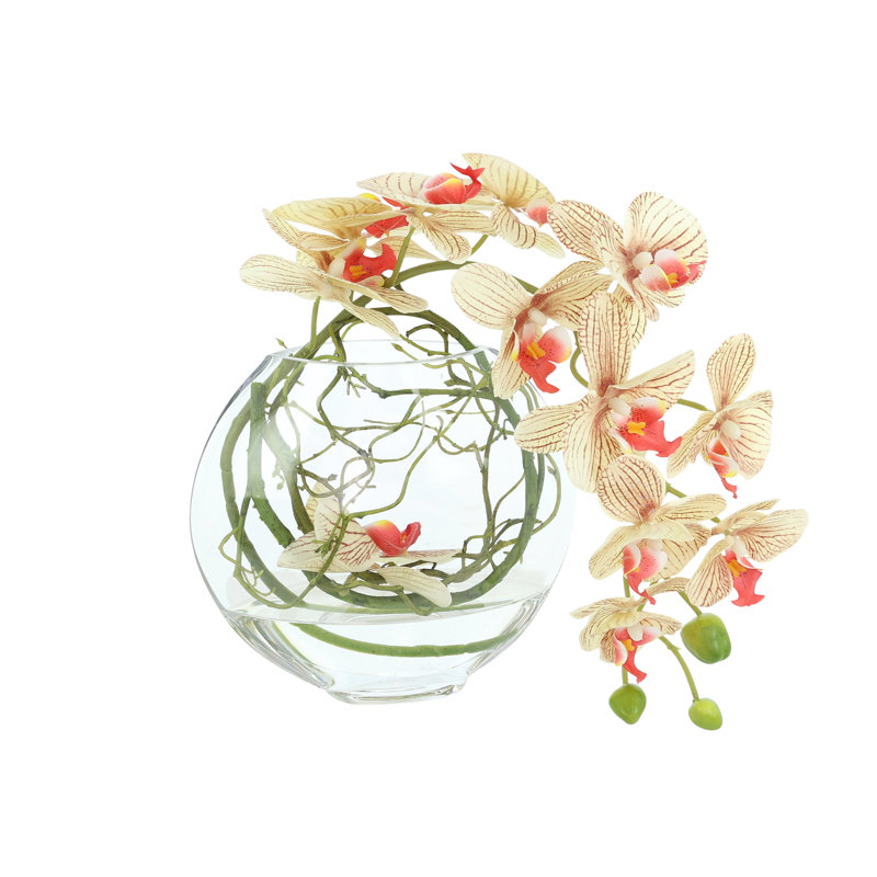Orchid and Vine Arrangement in Glass Vase, Orange