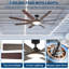 Ceiling Fan-1629712560