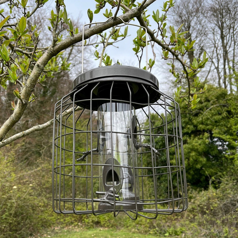 Grimaud Tube Bird Feeder