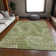 Premium Machine Washable Prisco Olive Rug