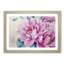 Watercolour Pink Peonies in Abstract - Picture Frame Painting Print-55761582-55761581