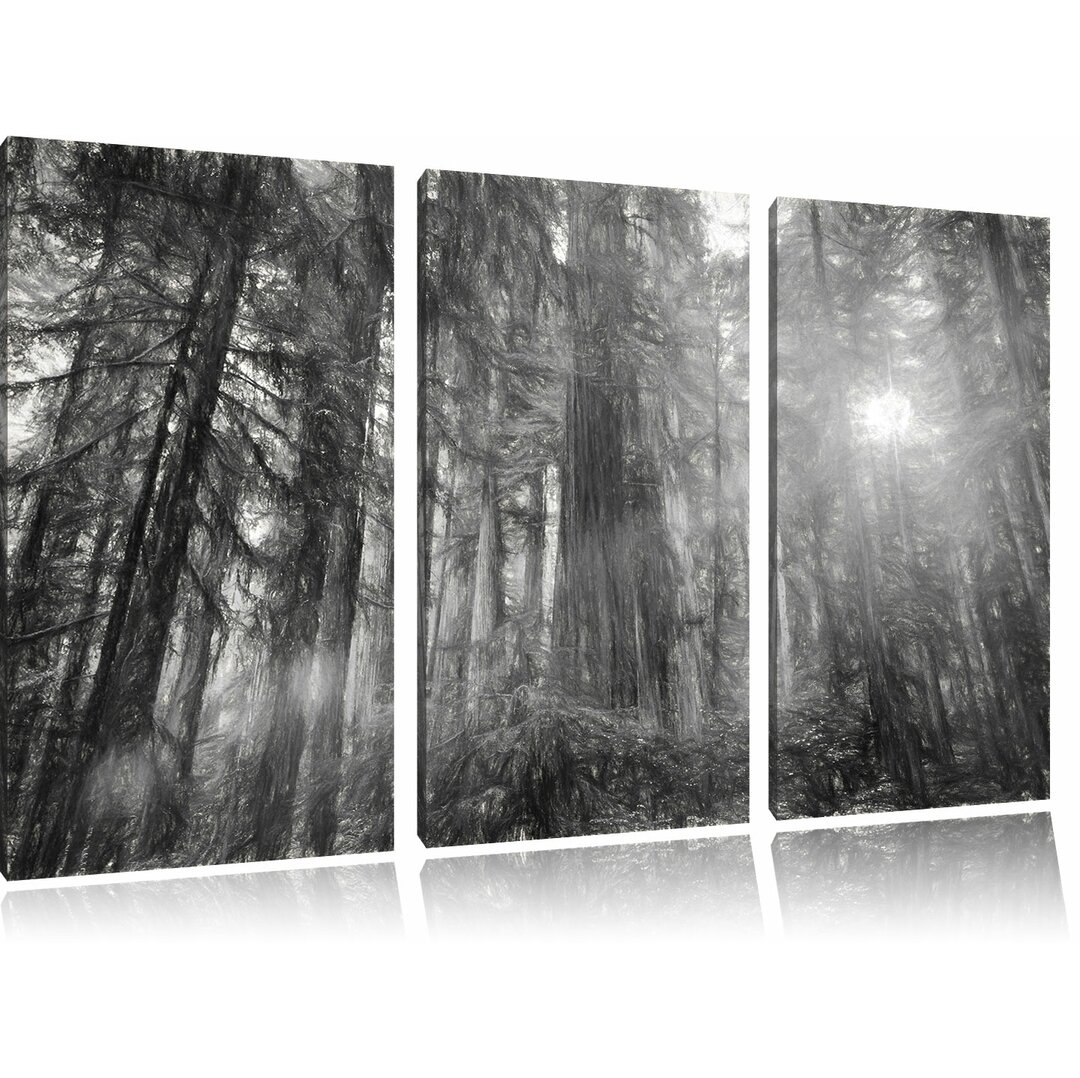 3-tlg. Leinwandbild-Set „Wald bei Sonnenlicht“, Kunstdruck