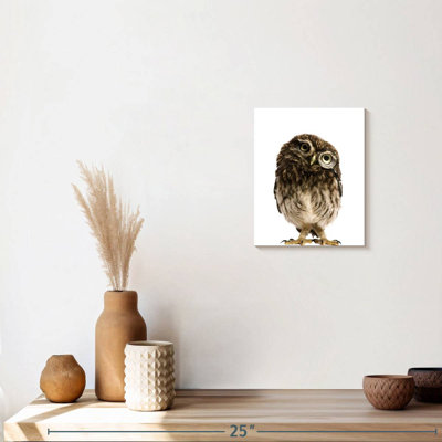 " Curious Owl " by Emma P