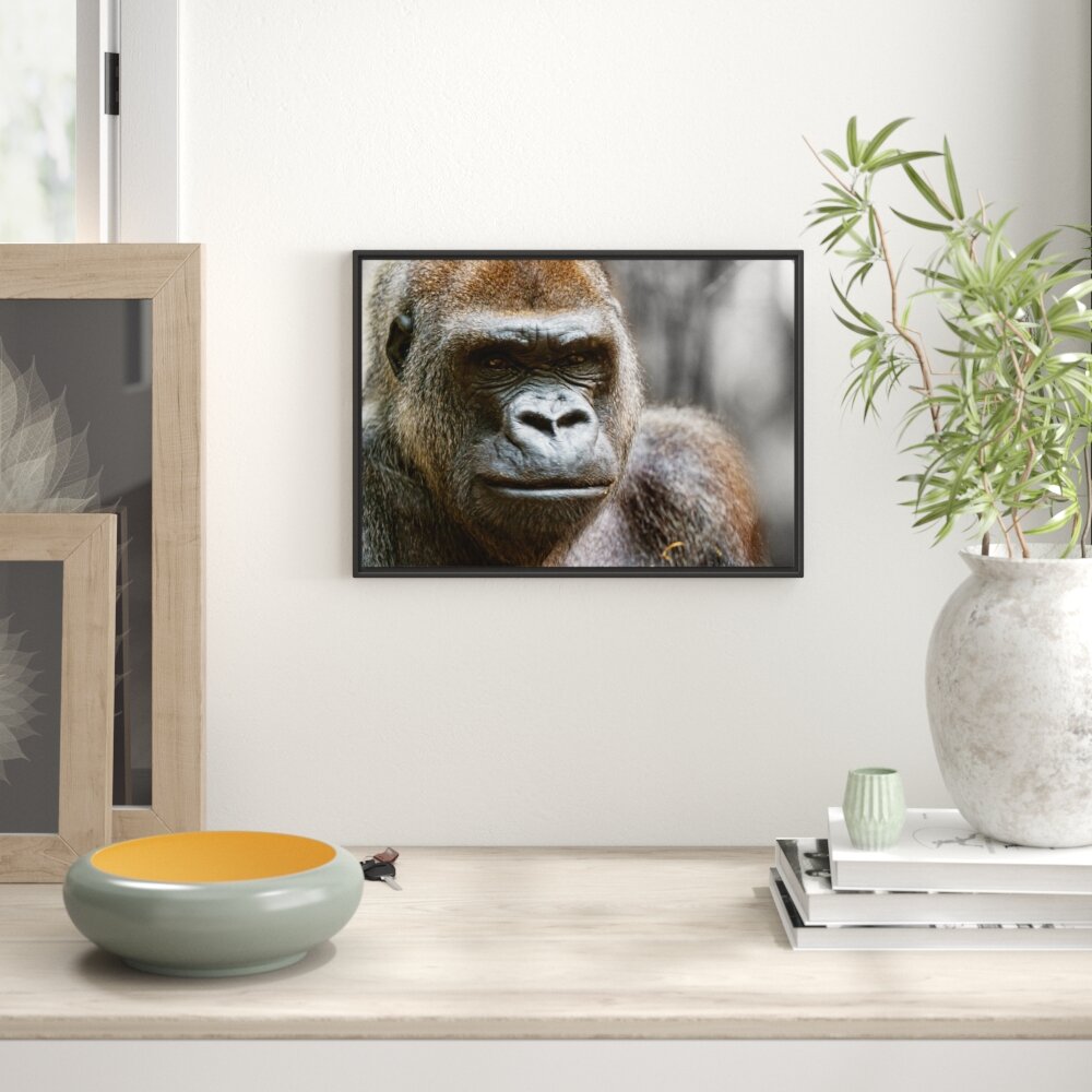 Gerahmtes Wandbild stolzer Gorilla