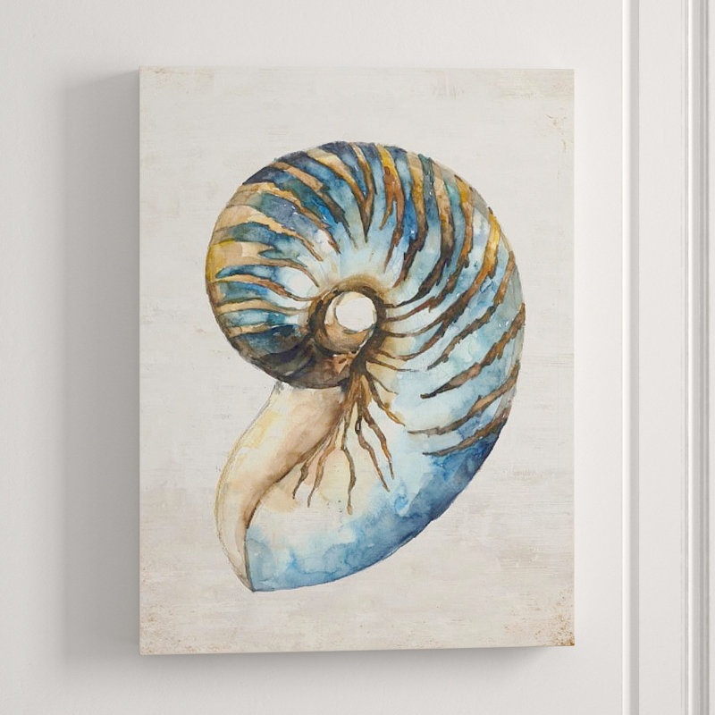 Shell Compilation III Print by Beverly Fuller, 40" H x 30" W x 1.5" D, Image Brush Gel