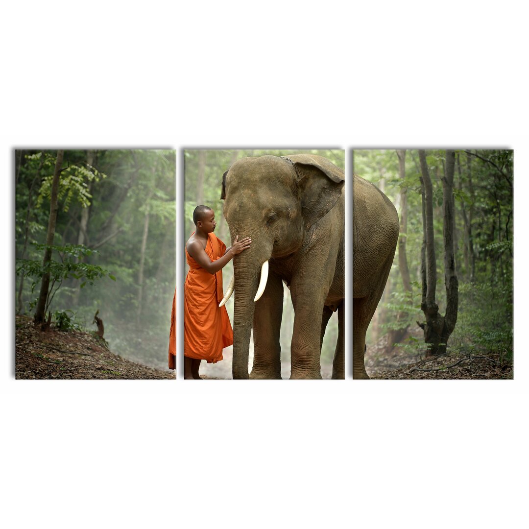 3-tlg. Leinwandbilder-Set Beautiful Elephant with Monk