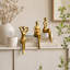 3 pièces de décorations de table basse décoratives blanches-126553779