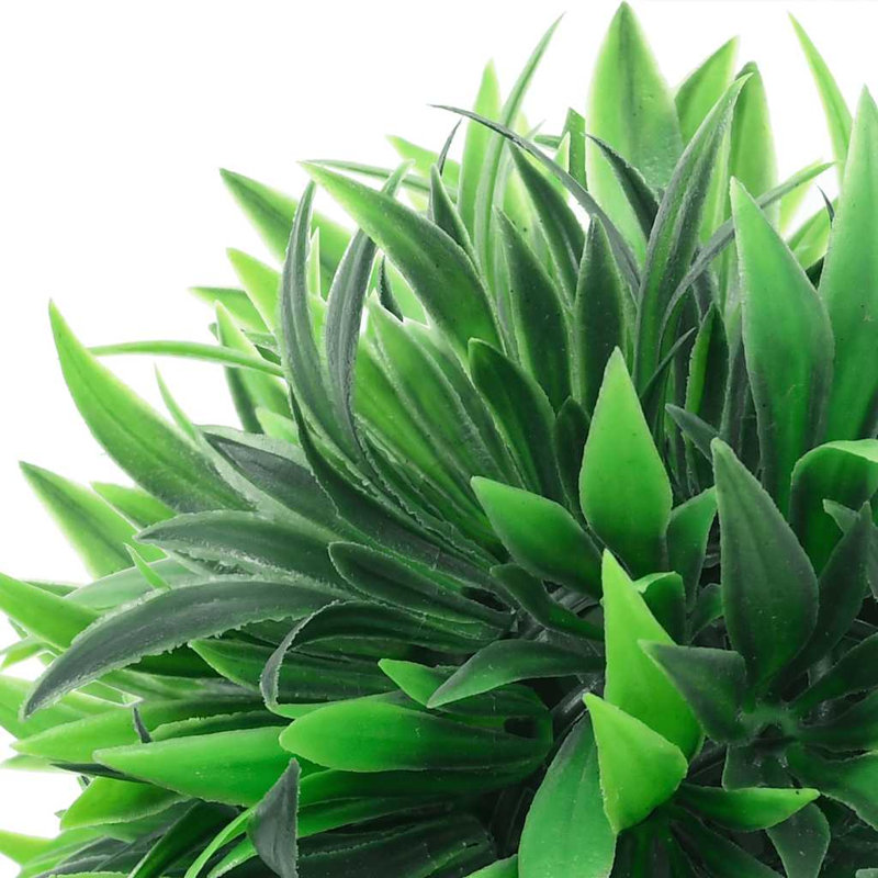 20cm Plant