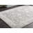 Alexander Oriental Indoor Rug-1620580799