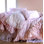 Couette French Toile