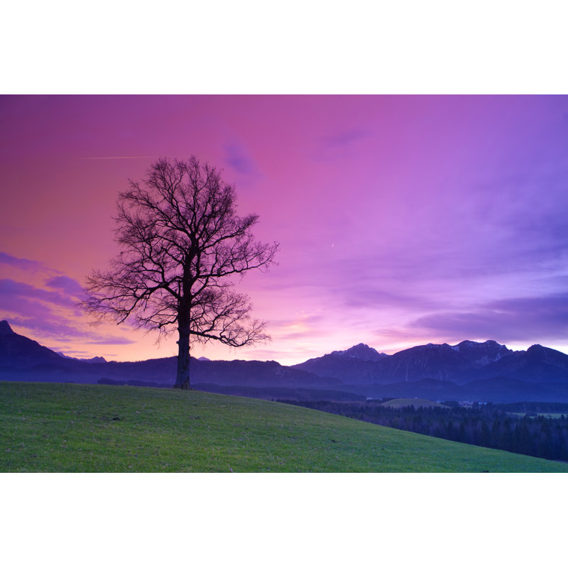 Old Bavarian Oak by Wingmar - Wrapped Canvas Print, 61cm H x 91cm W x 3.8cm D