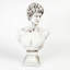 David Weather Resistant Fiberstone Garden Statue