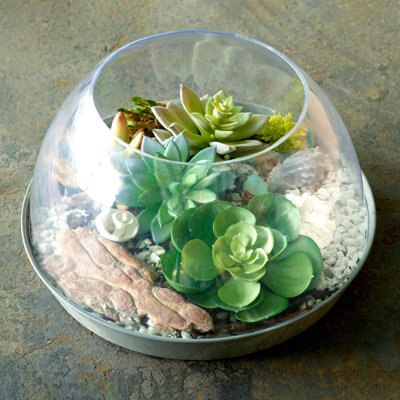 Terrarium en pierre Cumbernauld