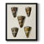 Toile encadrée de qualité supérieure Cone Shell Collection V - prête à être accrochée-1075188431-1075188417