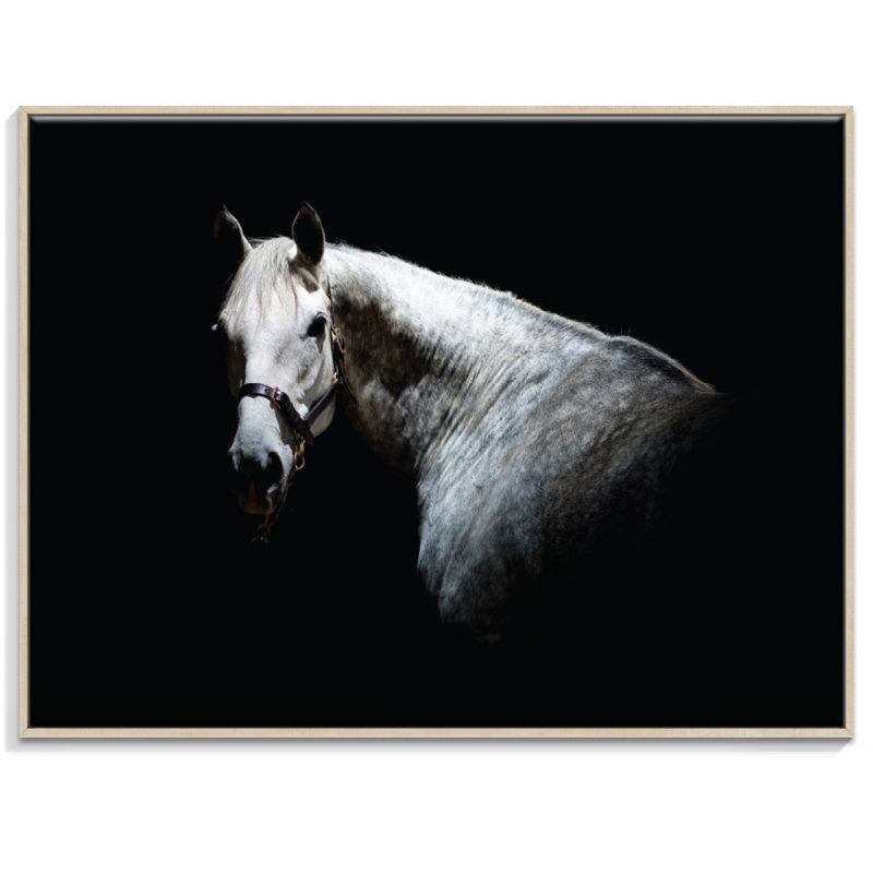 Joe Vittorio - Print on Canvas, 76cm H x 102cm W, Timber