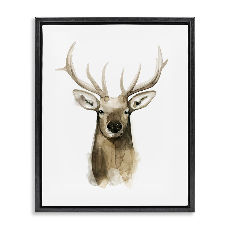 Portrait de cerf, aquarelle, H 17 po x l 21 po, Cadre flottant noir de jais