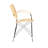 17'' H Cane Back Armchair-1939190240