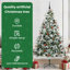 Christmas Tree-1617355473