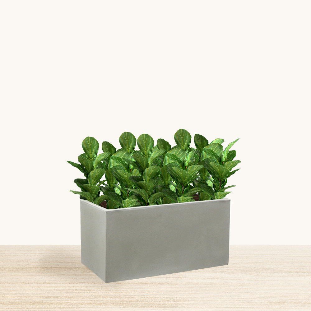 Latitude Run® Walbert ECOBO Eco-Friendly Flower Planter Box, Bloco ...