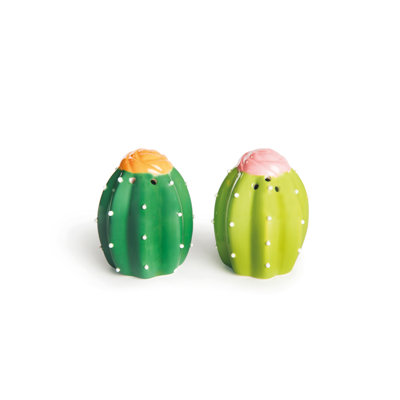 CACTUS SALT AND PEPPER SET