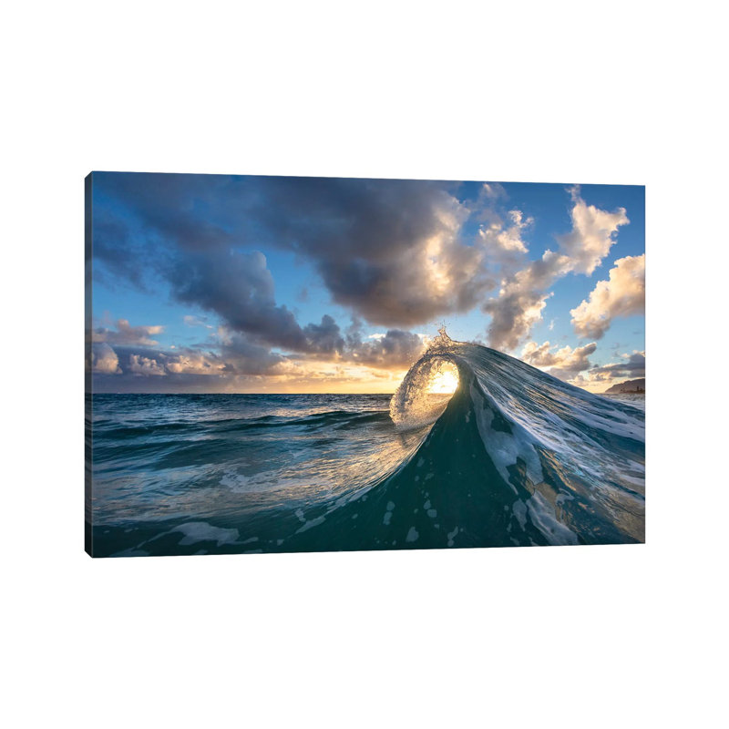 Early Curly by Sean Davey - Wrapped Canvas Gallery-Wrapped Canvas Giclée, 66.04 cm H x 101.6 cm W
