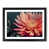 Black Framed selected