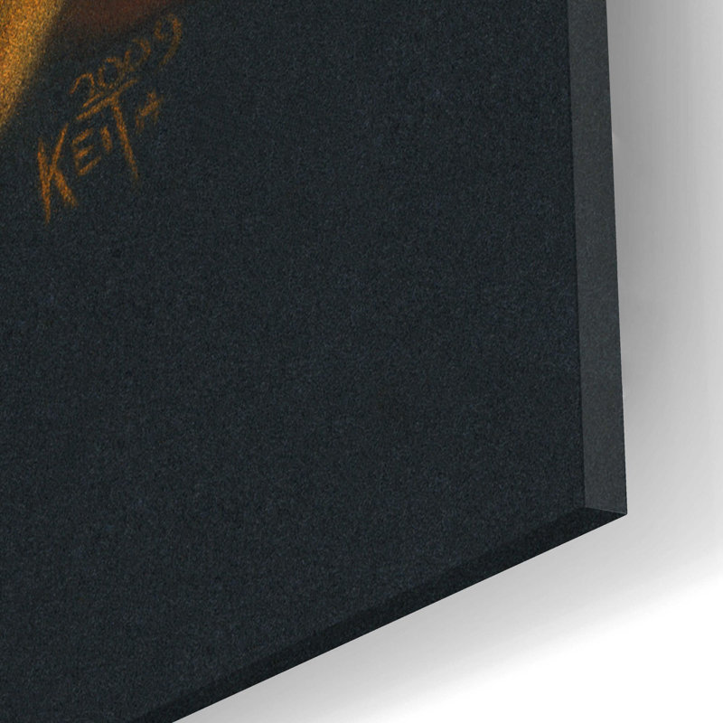 Sur impression plastique / acrylique, H 12 po x l 16 po x P 0,13 po